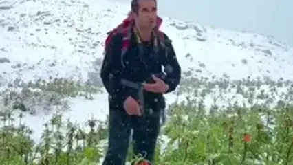 بارش برف بهاری لاله‌های واژگون را به کام یخ سپرد
