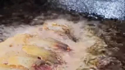 ببینید؛ غذای خیابانی در چین؛ پخت غذا با صدف، حلزون و ماهی پامفرت در پکن