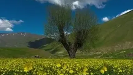 زیبایی‌های طبیعی کردستان