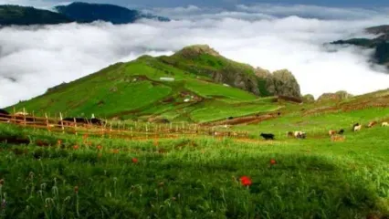 این نقطه از ایران، لباس سفید به تن کرد