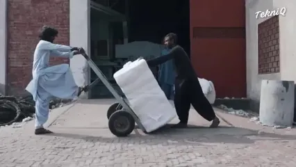ببینید؛ فرآیند برداشت و فرآوری آلوئه ورا، پنبه و قارچ شیتاکه