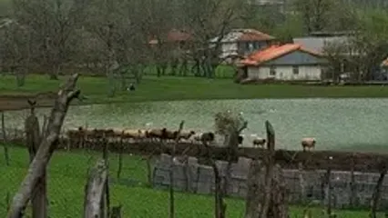 فیلم روستای استخرگاه در شهرستان رودبار / تماشای مناظر بکر گیلان