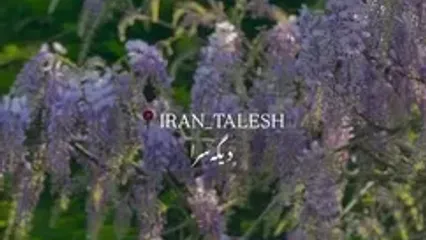 فیلم طبیعت بکر و رویایی تالش