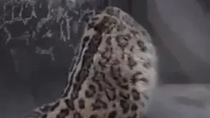 طوفان شدید همراه با رعد و برق در مسکو