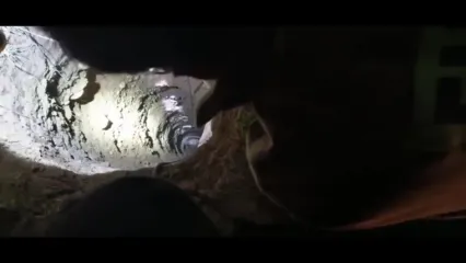 نجات گرگ گرفتار در چاه ۱۲ متری با تلاش آتش‌نشانی و همکاری مردم