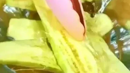 ناهار امروز خورشت بادمجان