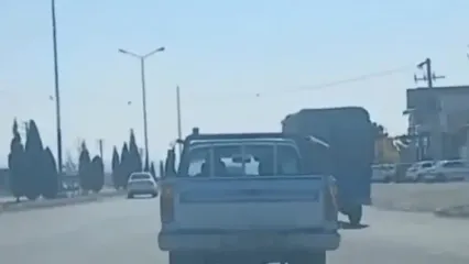 عامل حیوان‌آزاری در سمنان شناسایی شد