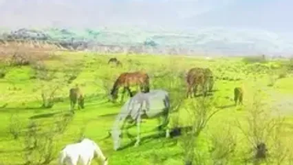 زیبایی های دشت سوسن و روستای مهرنان در ایذه