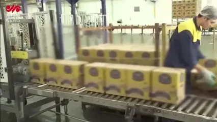 کالابرگ، بازار را دچار کمبود روغن خوراکی کرد!
