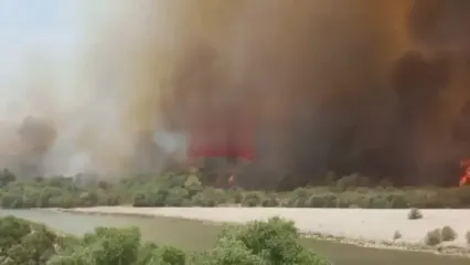 فیلم آتش‌سوزی گسترده در پارک ملی دز / نیروها به حالت آماده باش درآمدند