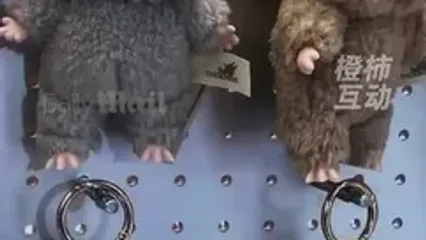 قتل بخاطر عروسک لابوبو