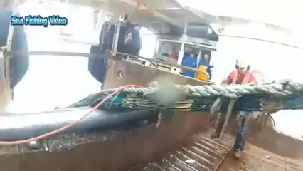 ببینید؛ نگاهی به صید، فرآوری و بسته بندی صدها تن ماهی در چین