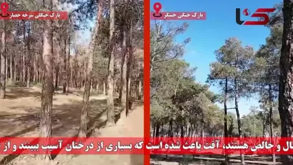 پاسخ به یک ابهام / چه شد که پارک‌های سرخه‌حصار و چیتگر خشک شدند؟