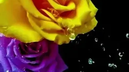 فال حافظ 2 خرداد ماه