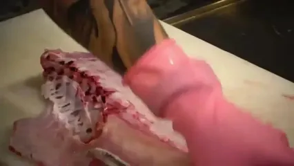 ببییند؛ غذای خیابانی در ژاپن؛ برش ماهرانه ماهی کمیاب Scarbreast Tuskfish و تهیه ساشیمی