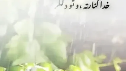 فال چای امروز