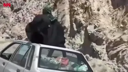 بدلکاری خطرناک در جاده؛ سوار شدن یک خانم چادری بر سقف خودرو در ملایر