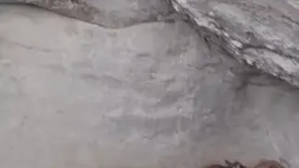 ببینید؛ نجات دو بزغاله کوهی در شیبکوه هرمزگان