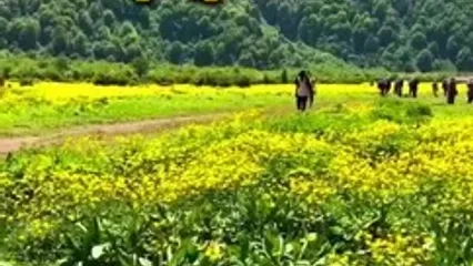 سفر رویایی به ۶ نقطه بکر مازندران با طبیعتی خیره‌کننده