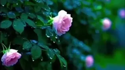 فال ابجد امروز جمعه 9 خرداد ماه