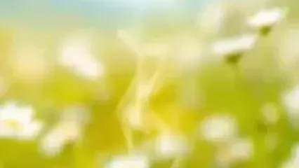 فال ابجد 15 اردیبهشت