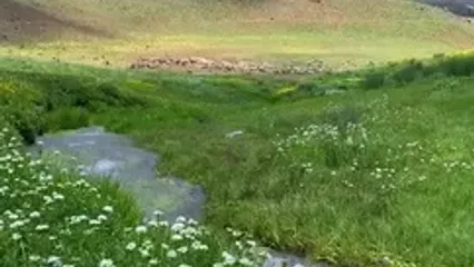 کردستان؛ جایی که زمین نفس می‌کشد