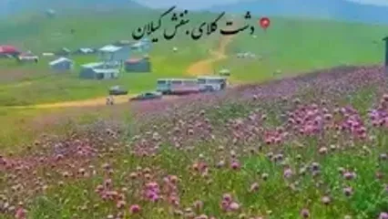 تماشای دشت بنفش رودبار
