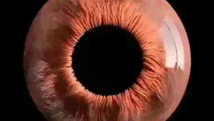 چشم انسان زیر میکروسکوپ!