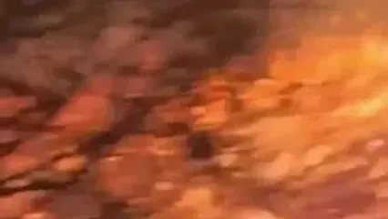 گسترش آتش‌سوزی‌های شدید جنگلی در سیبریِ روسیه