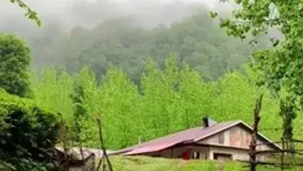 طراوت بارانی روستای شولم در دل گیلان