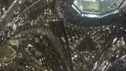 هوادار خارجی پرسپولیس در حرم امام رضا (ع)
