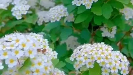 فال و طالع بینی روزانه 30 اردیبهشت