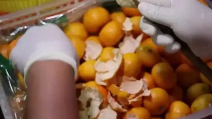 ببینید؛ مهارت میوه فروش تایلندی در برش زدن میوه های استوایی؛ از انبه تا پاپایا