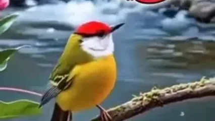 تفسیر فال حافظ یکم خرداد