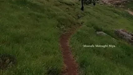 بهار تماشایی در البرز مرکزی