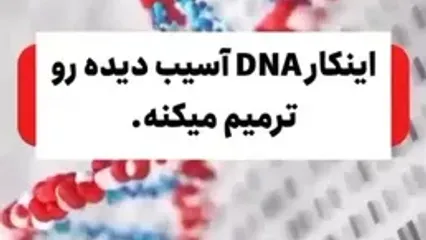 کیوی، محافظ بی برو برگشت DNA