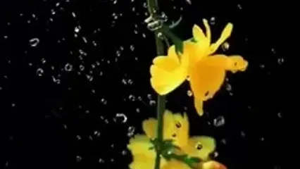 فال روزانه 20 اردیبهشت
