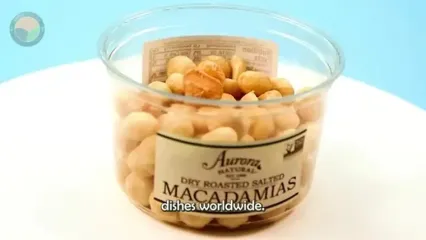 ببینید؛ مراحل دیدنی پرورش، برداشت، فرآوری و تهیه کمپوت هلو در آمریکا