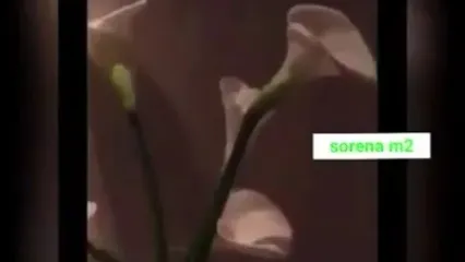 فیلم آوازخوانی شکوهمند بهنوش طباطبایی با آهنگ گوگوش/ در تمام طول راه با منه عاشق ترین هم صدا بودی عزیز