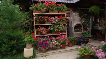 ببینید؛ غذای روستایی در آذربایجان؛ پخت مربای پوست هندوانه