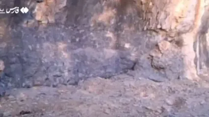 مشاهدهٔ پلنگ ایرانی در دره‌شهر ایلام