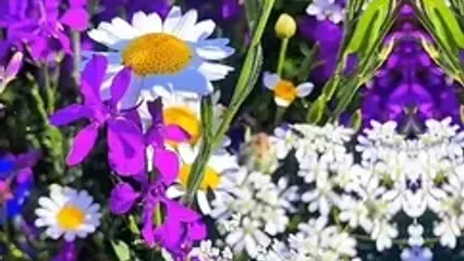 فال حافظ فردا 18 خرداد