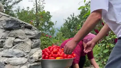 ببینید؛ غذای روستایی در آذربایجان؛ پخت نان لواش، کباب و تهیه رب گوجه در طبیعت