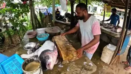 ببینید؛ تکنیک‌های ماهی‌فروش سریلانکایی در برش زدن ماهی‌ کتلای 30 کیلوگرمی