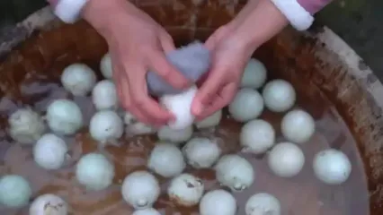 ببینید؛ غذای روستایی در چین؛ تخم مرغ نمک‌سود و اردک دودی در کوهستان
