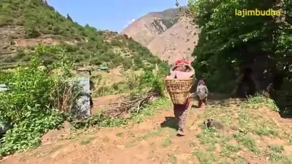 ببینید؛ غذای روستایی در نپال؛ کشت محصول و پخت غذا با نخود و لوبیا