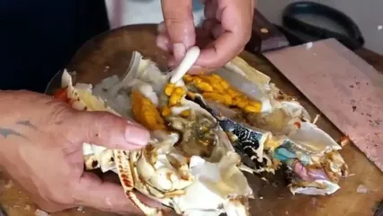 ببنیید؛ برش ماهرانه خرچنگ غول پیکر رنگین کمانی و پخت غذا با آن در ویتنام