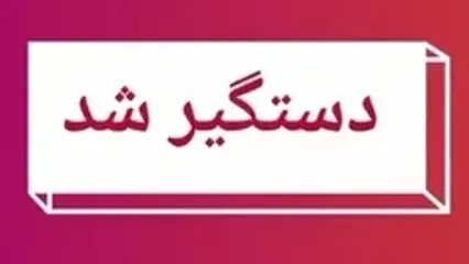 دستگیری یک نفر از اراذل و اوباش به اتهام تحریک جهت حمله به نیروهای امنیتی و نظامی و ایجاد ناامنی در جامعه