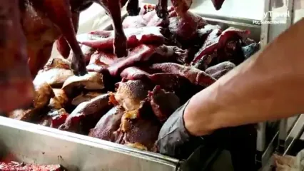 ببینید؛ غذای خیابانی در مالزی؛ اردک سرخ شده روی آتش با سس مخصوص در کوالالامپور
