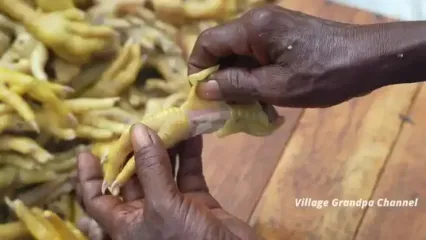 ببینید؛ غذای روستایی در هند؛ پخت یک غذای ارزان و خوشمزه با پای مرغ در جنگل
